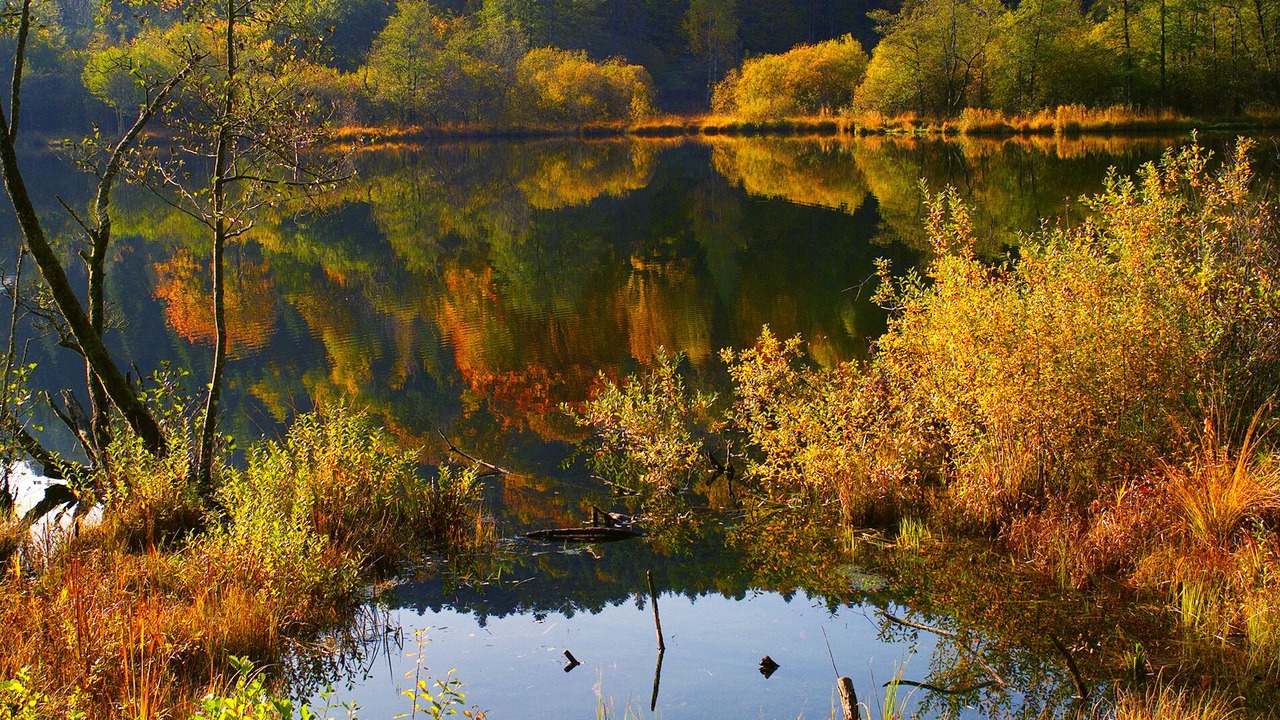 Photo of Outdoor in Masevaux