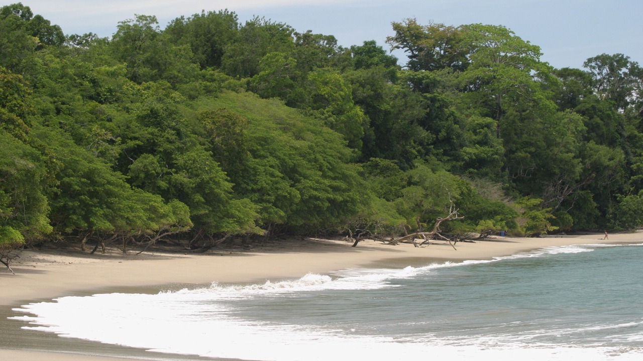 Photo of Others in Hatillo