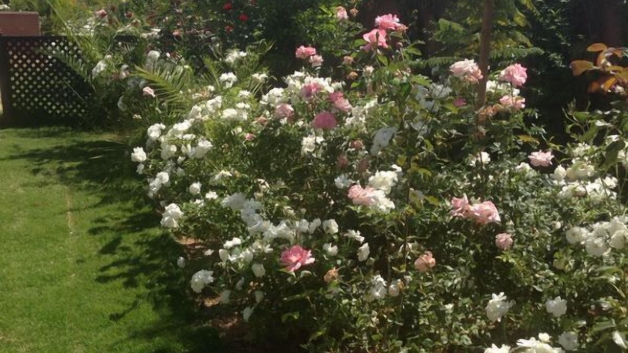 Photo of Outdoor in Marrakech