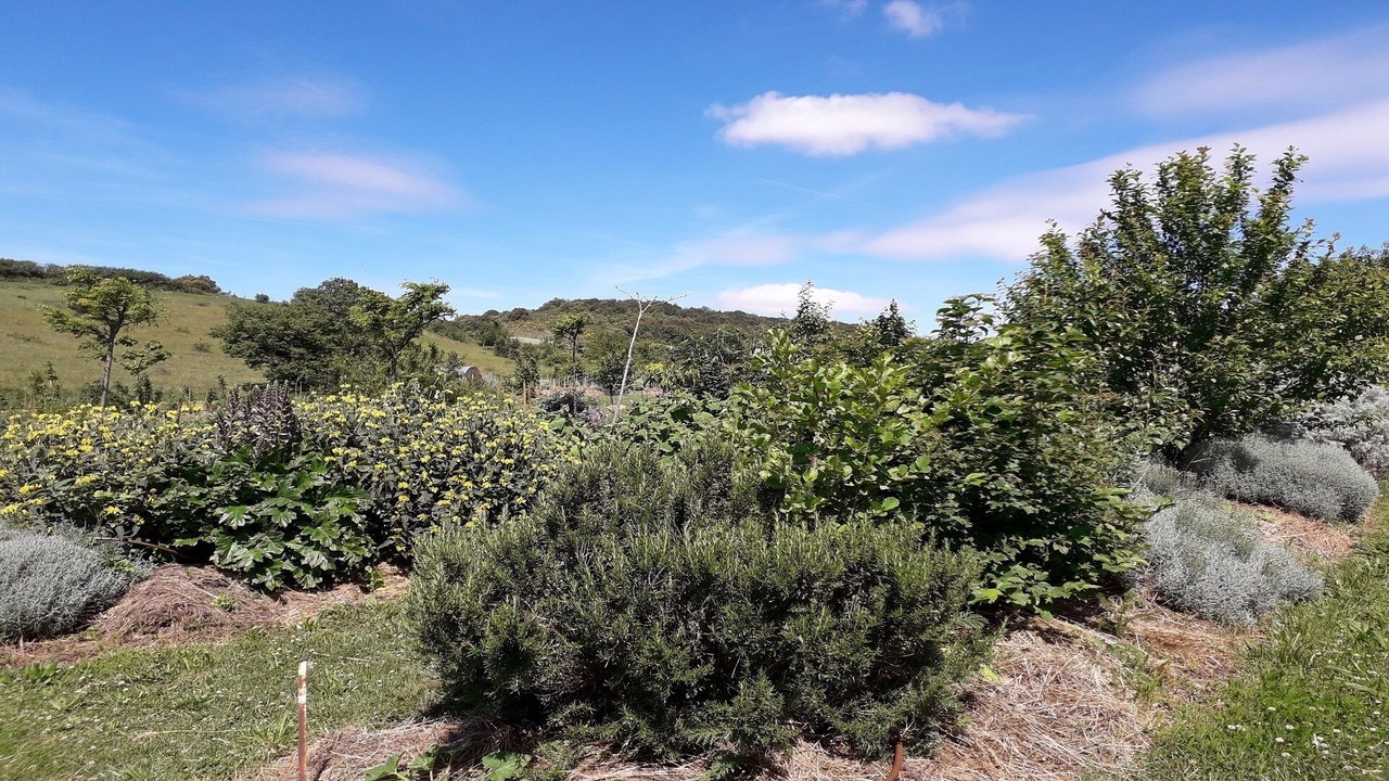 Photo of Outdoor in Villarzel-du-Razes
