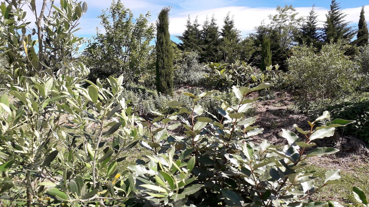 Photo of Outdoor in Villarzel-du-Razes