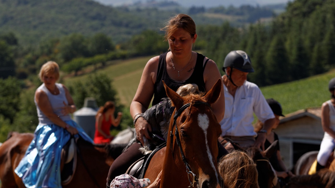 Photo of Others in Villarzel-du-Razes
