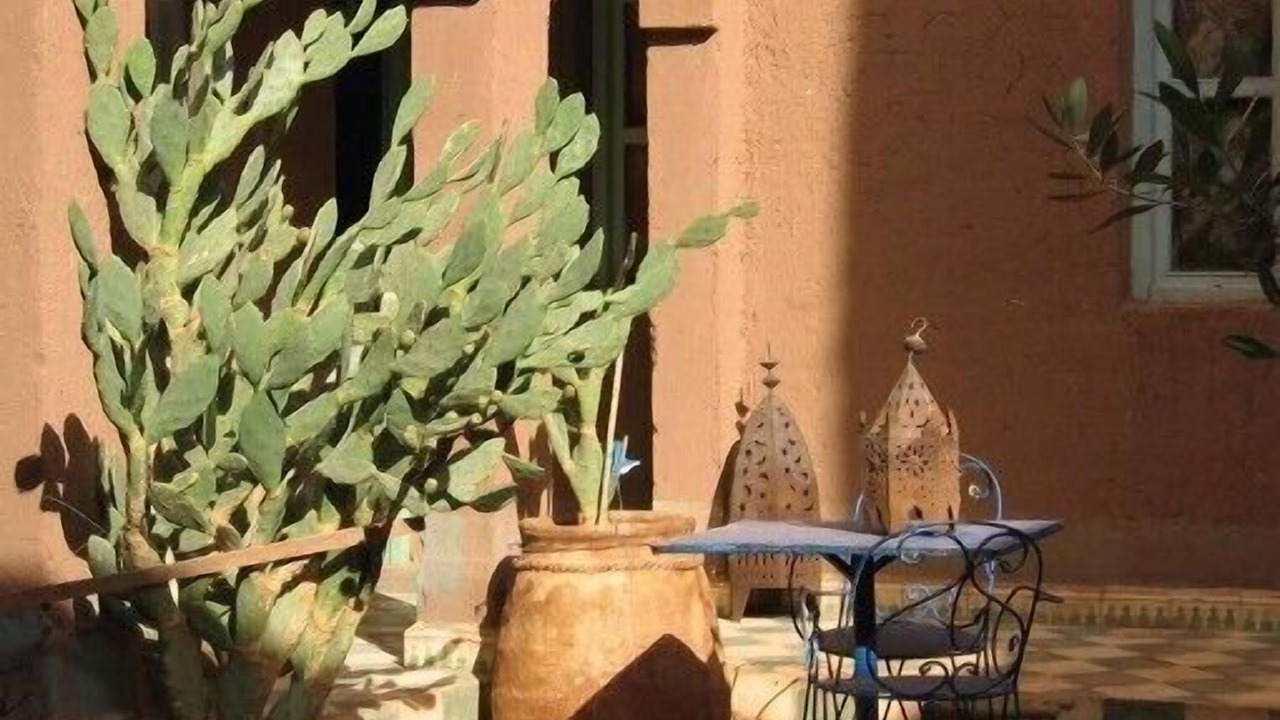 Photo of Outdoor in M'Hamid El Ghizlane