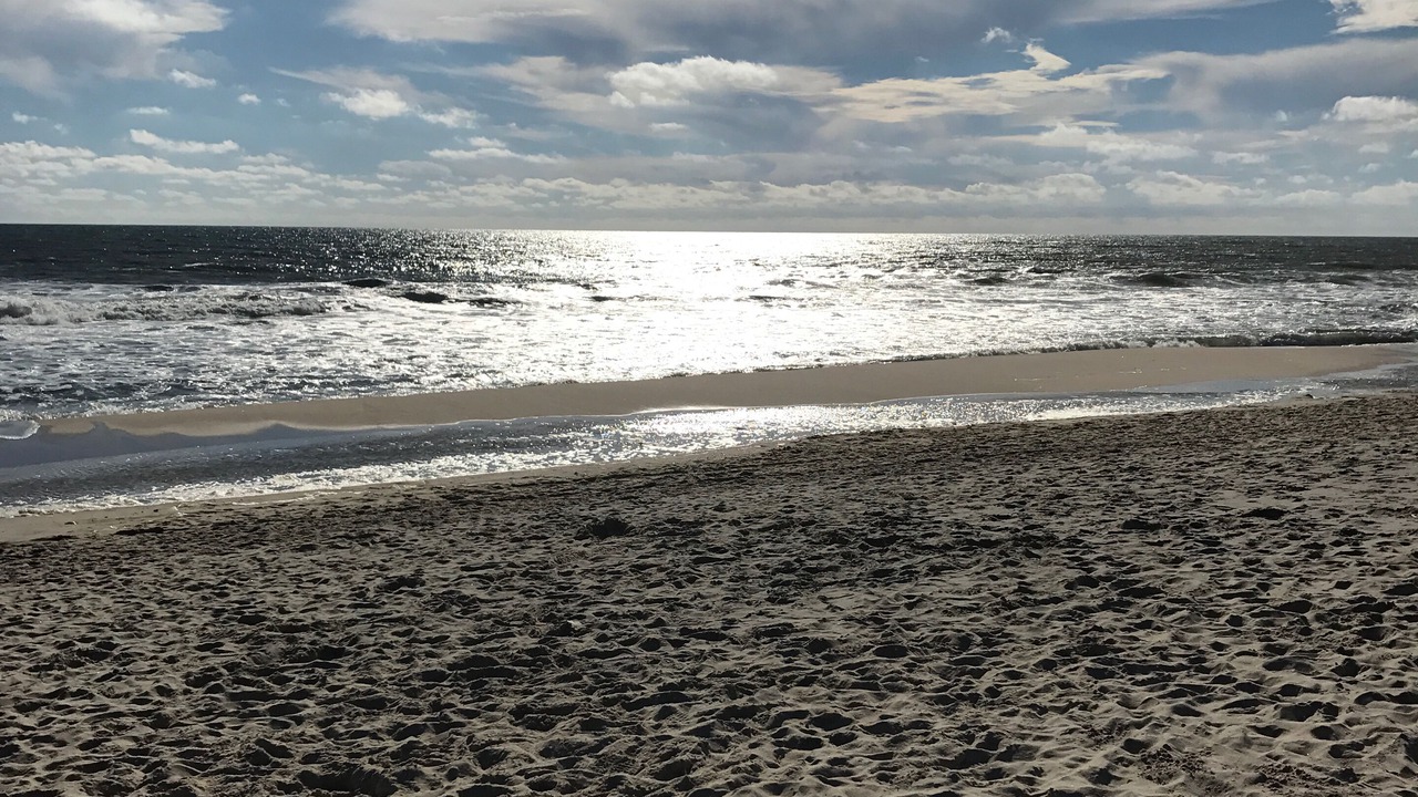 Photo of Others in Sag Harbor