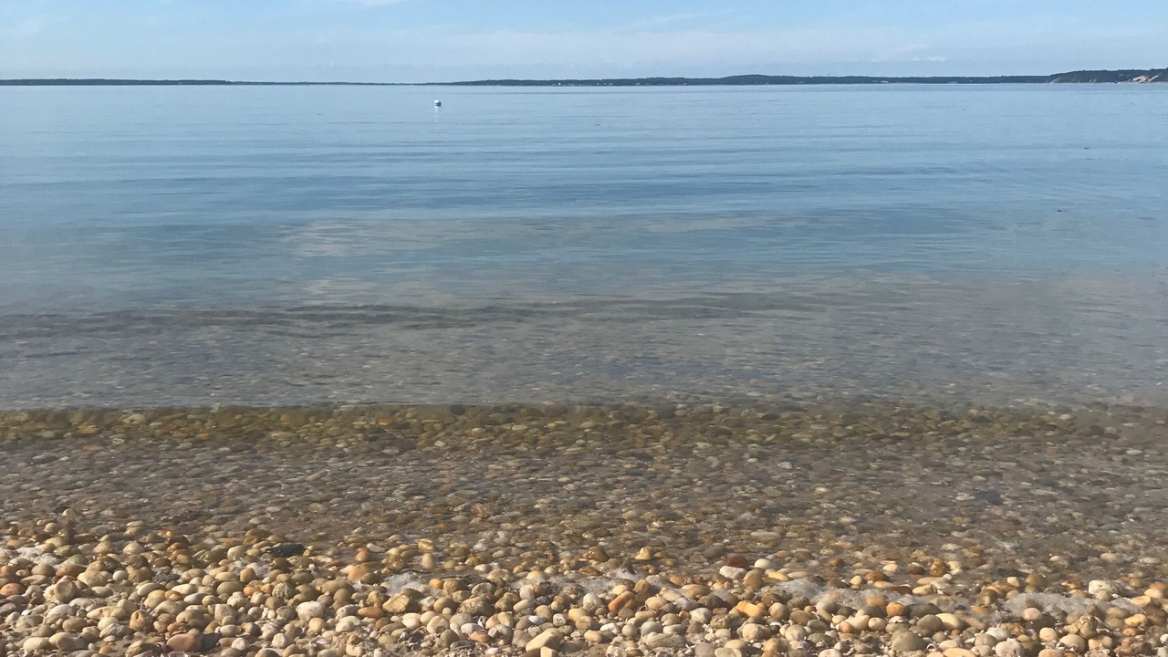 Photo of Others in Sag Harbor