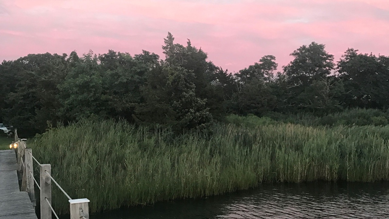 Photo of Others in Sag Harbor