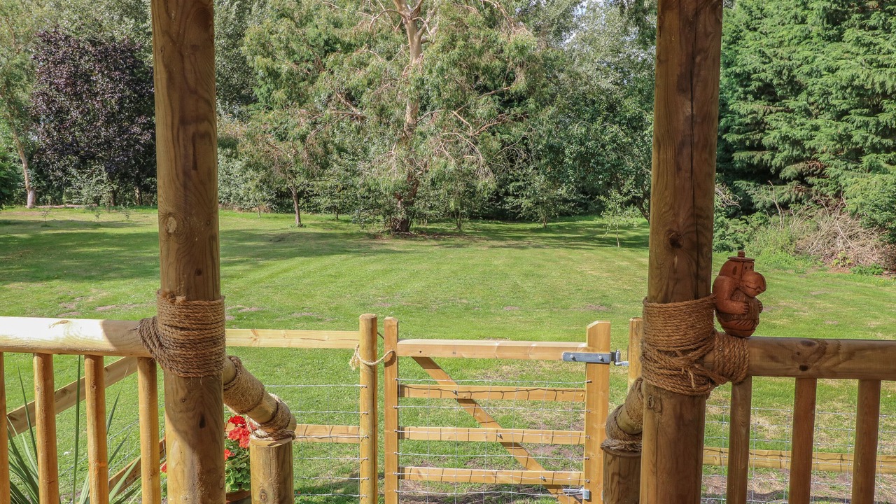 Photo of Outdoor in Brandon