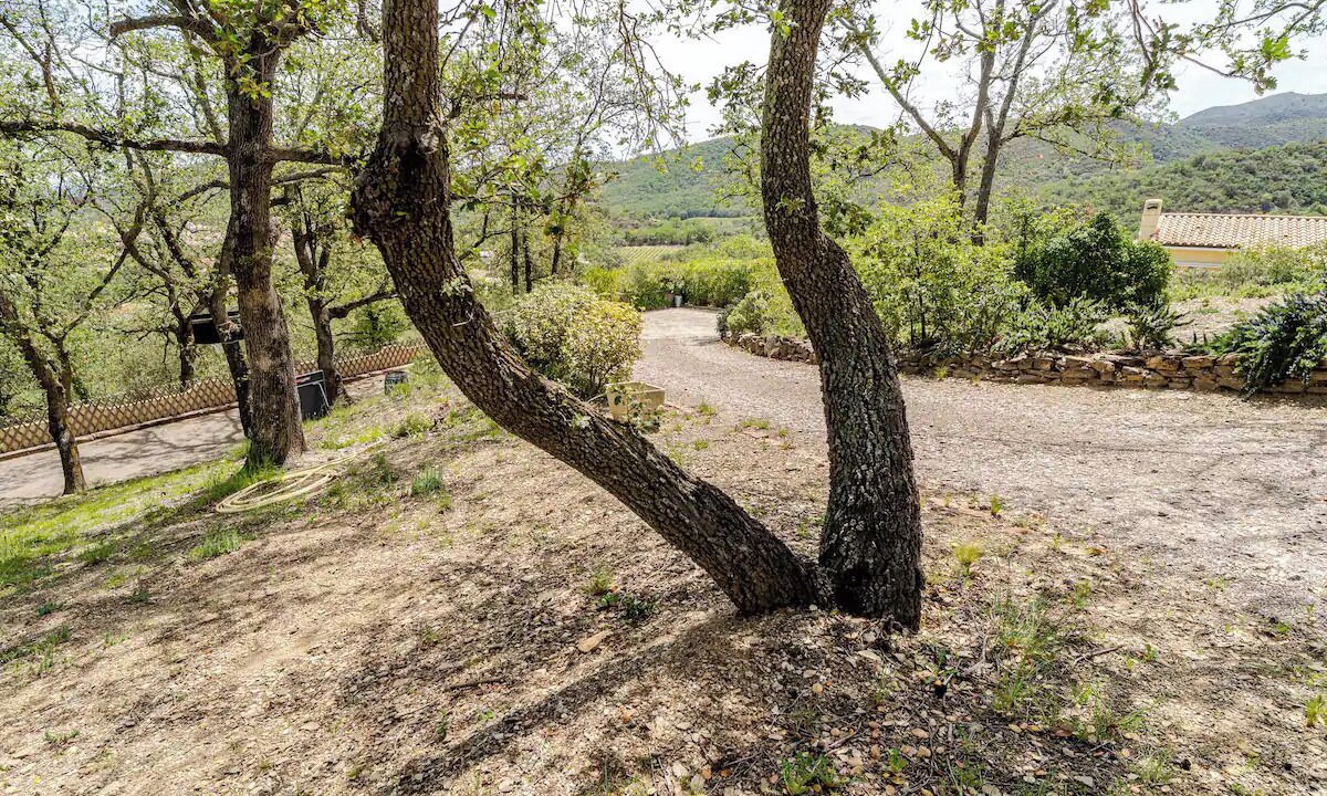 Photo of Outdoor in Corbere
