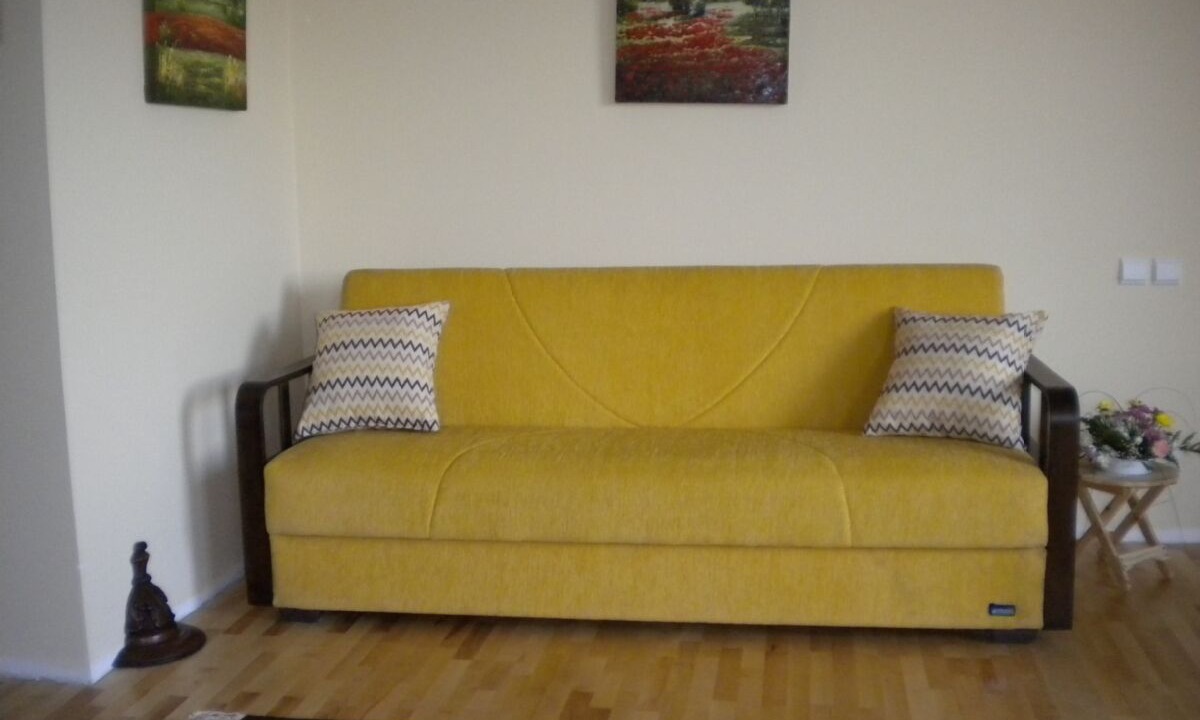 Photo of Livingroom in Olteni