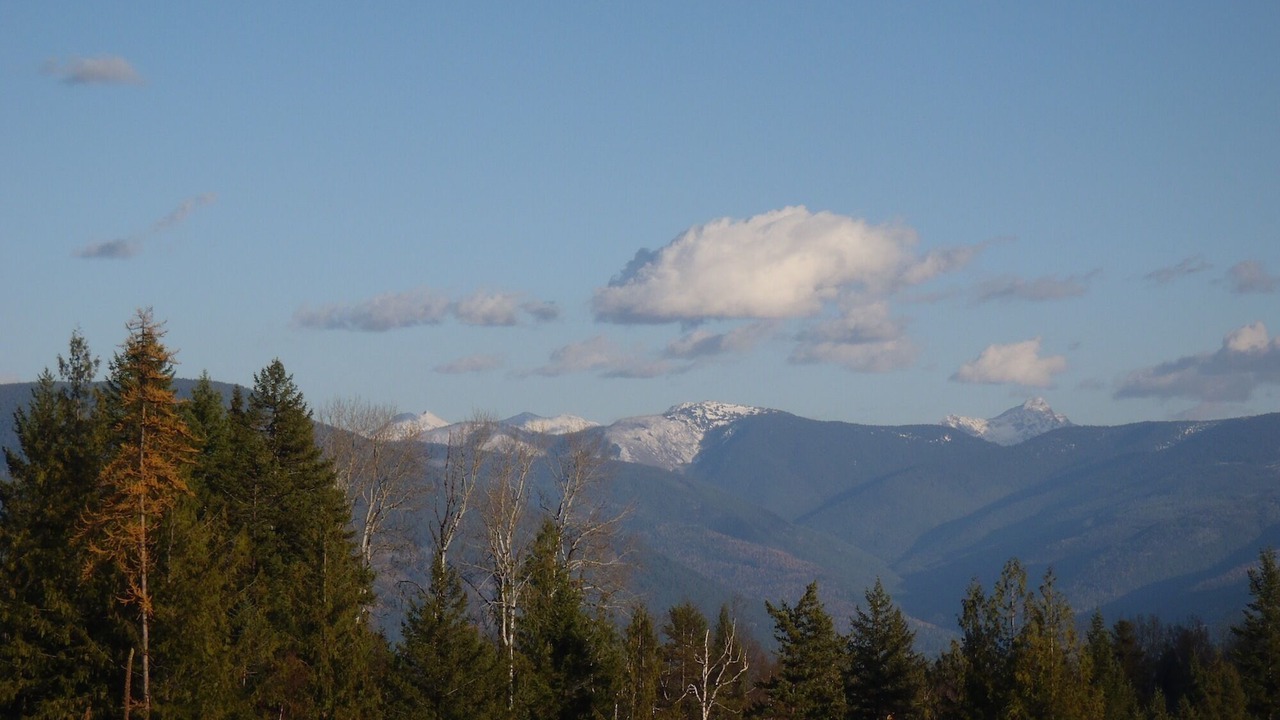 Photo of Others in Lumby