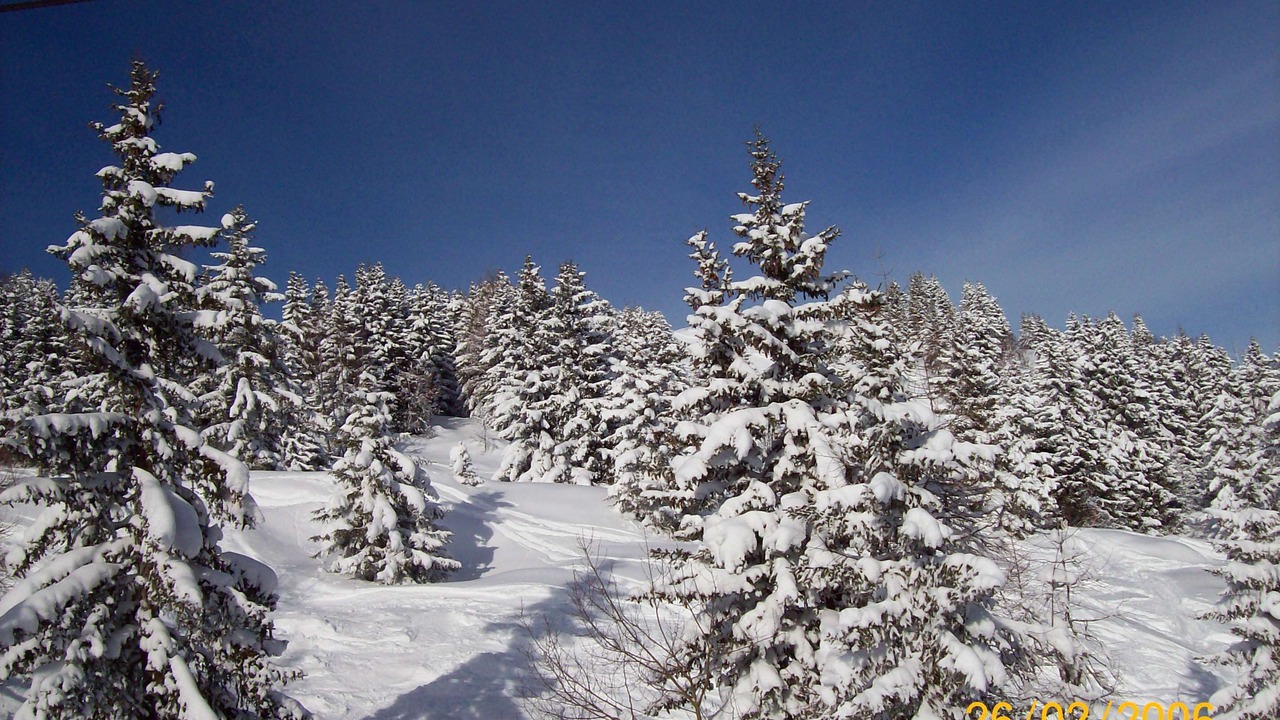 Photo of Others in Les Houches