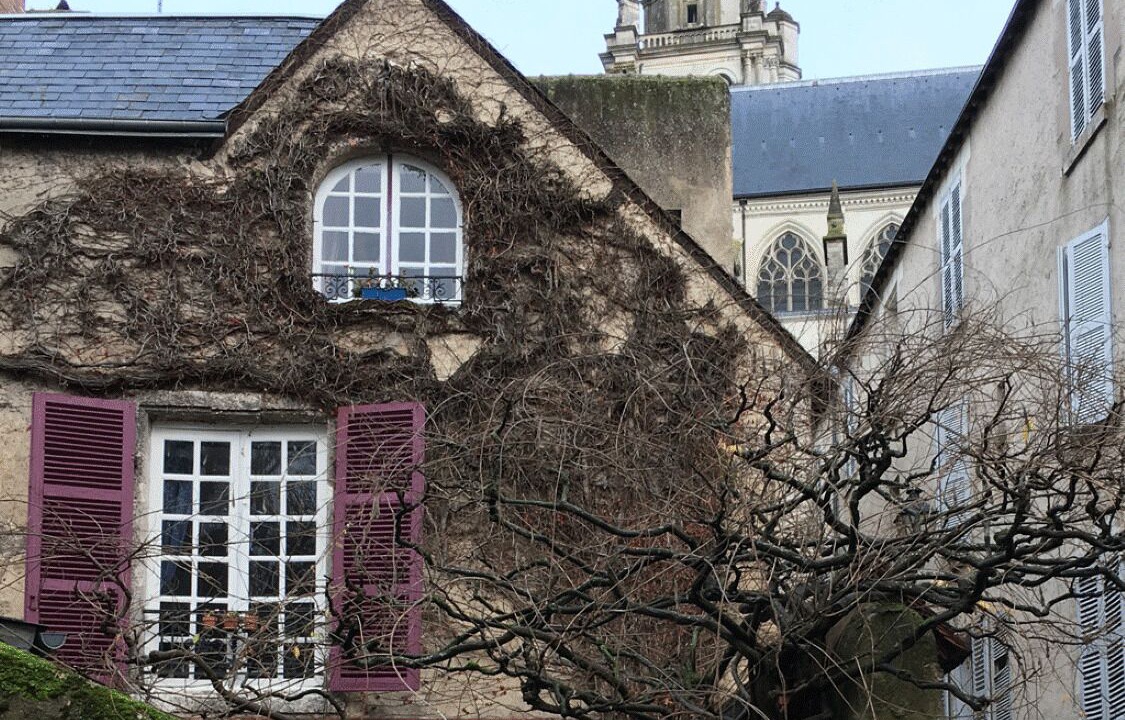 Photo of Others in Blois