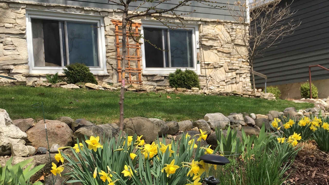 Photo of Outdoor in Colgate