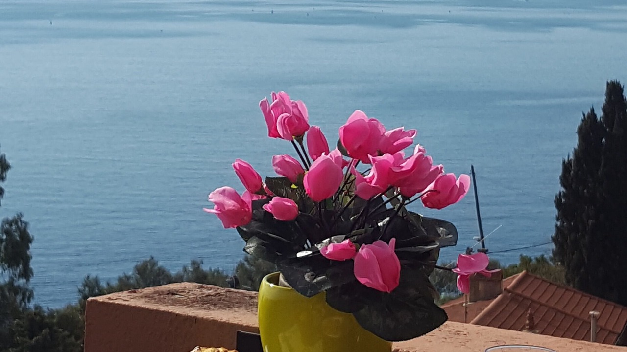 Photo of Outdoor in Roquebrune-Cap-Martin