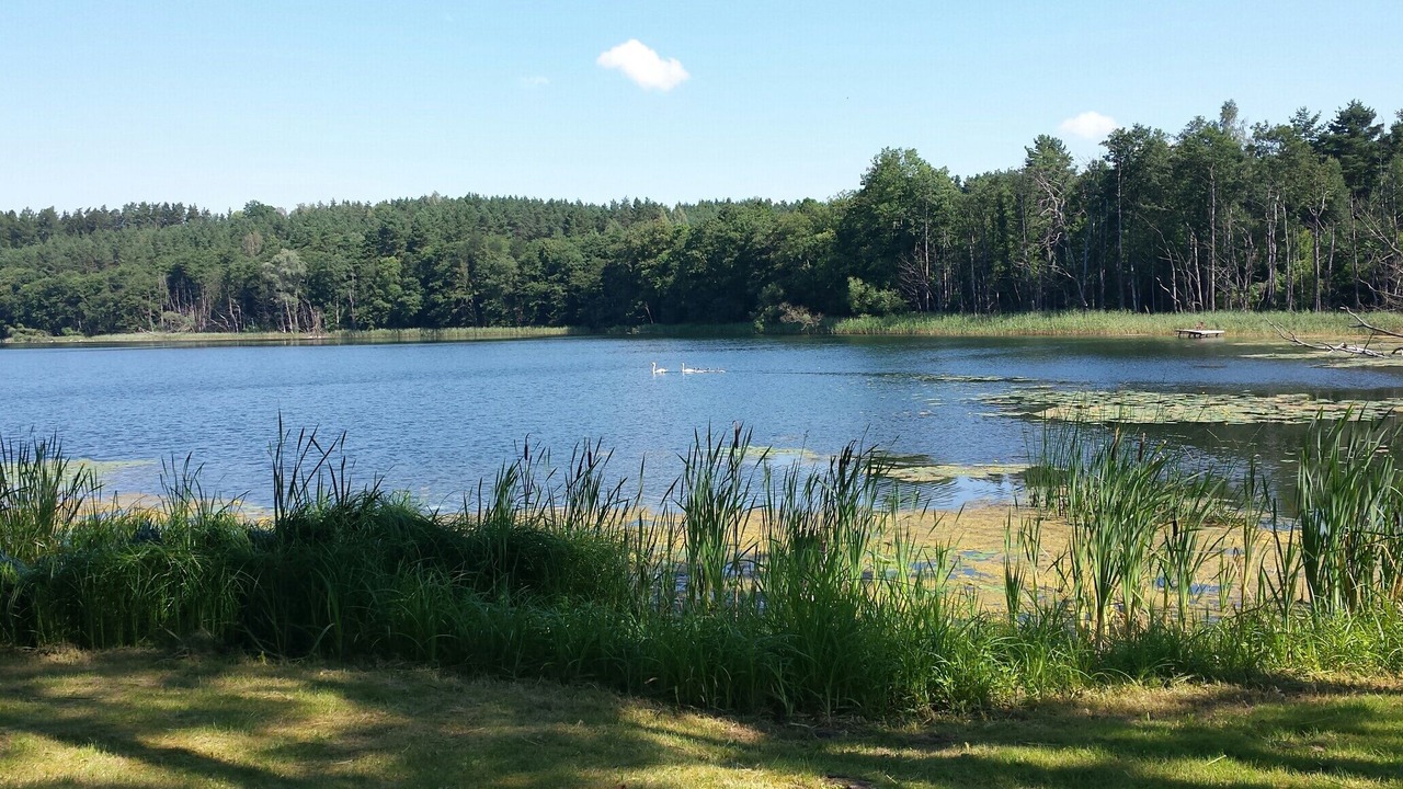 Photo of Outdoor in Mragowo