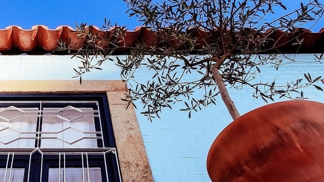 Photo of Outdoor in Espinho