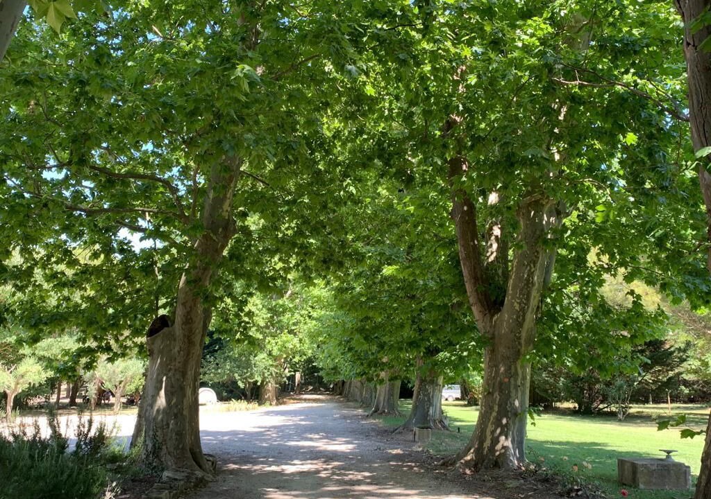 Photo of Outdoor in Mallemort