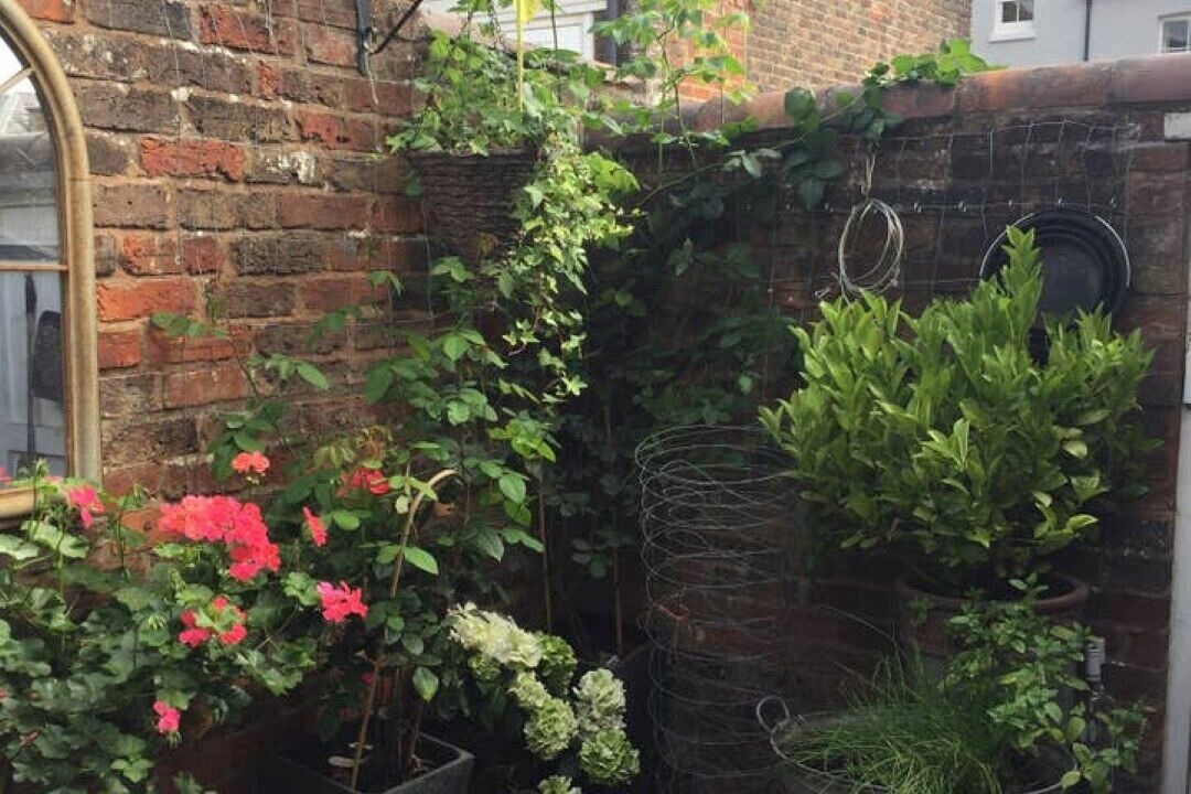Photo of Outdoor in Royal Tunbridge Wells