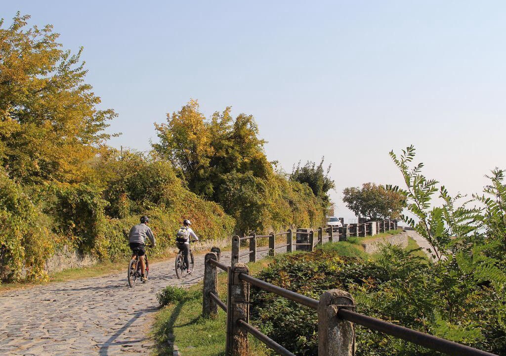 Photo of Outdoor in Badacsony