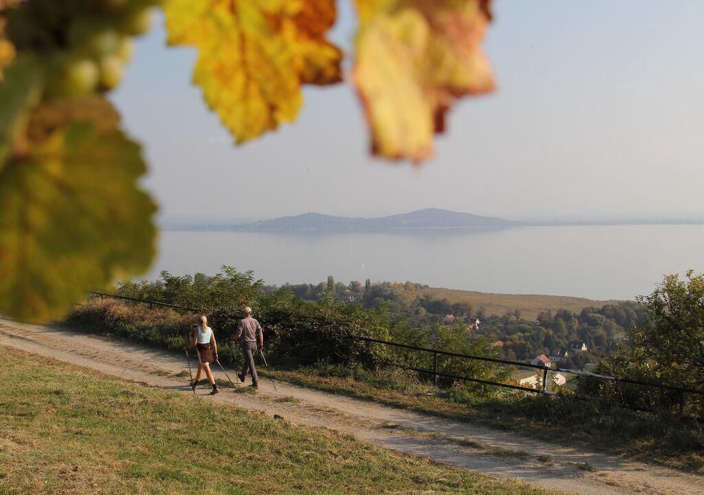 Photo of Outdoor in Badacsony