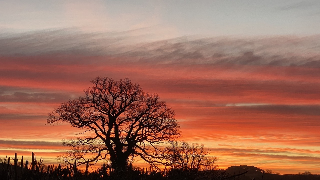 Photo of Outdoor in East Budleigh