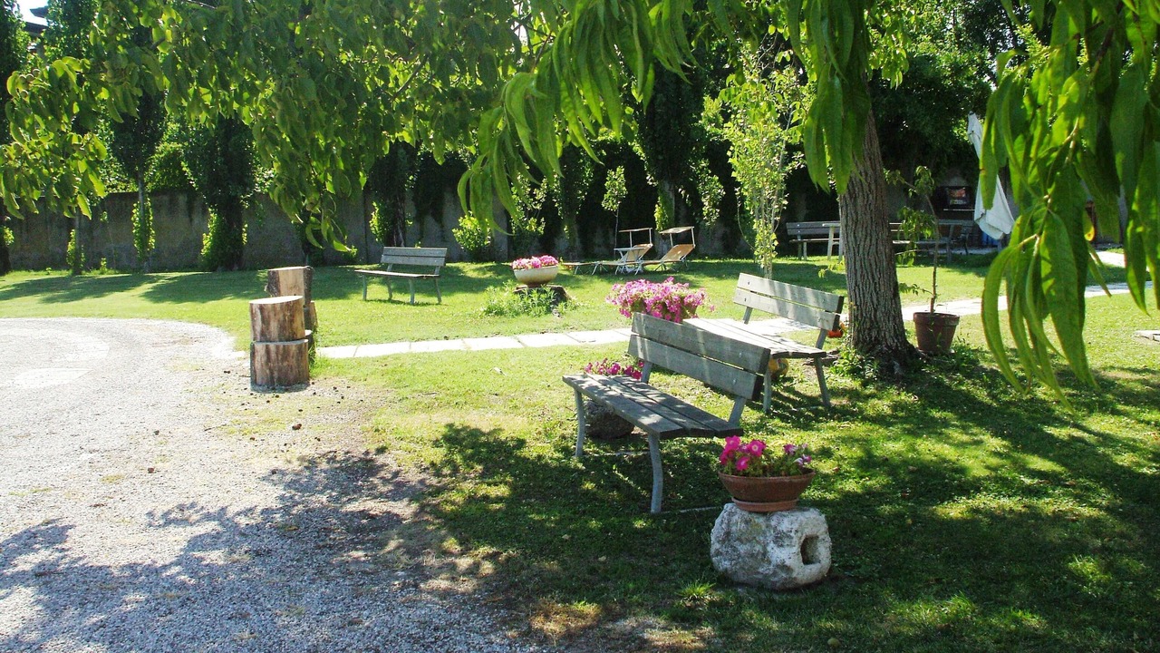 Photo of Others in Mira