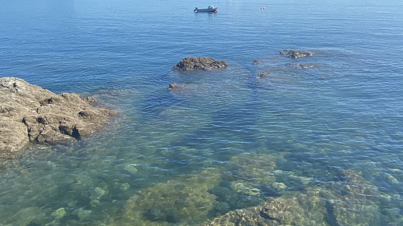Photo of Others in Helford Passage