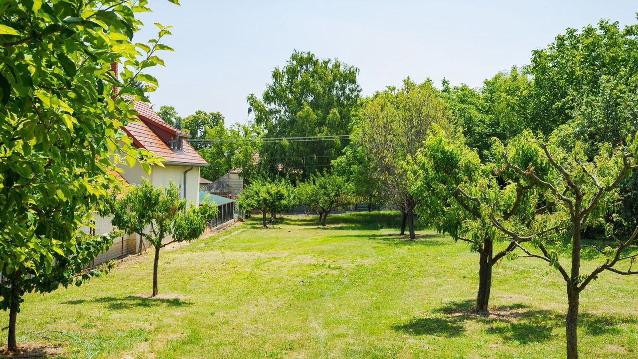 Photo of Outdoor in Balatongyorok