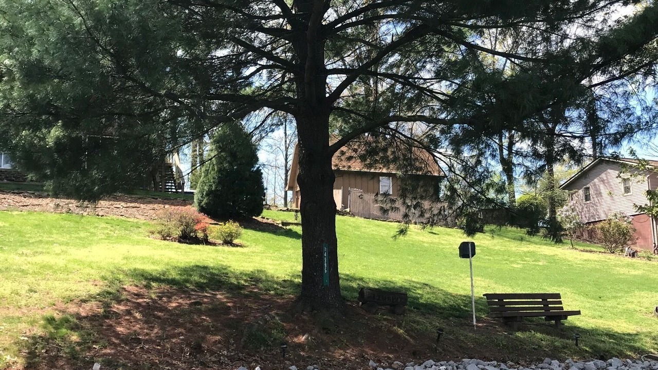 Photo of Outdoor in Goreville
