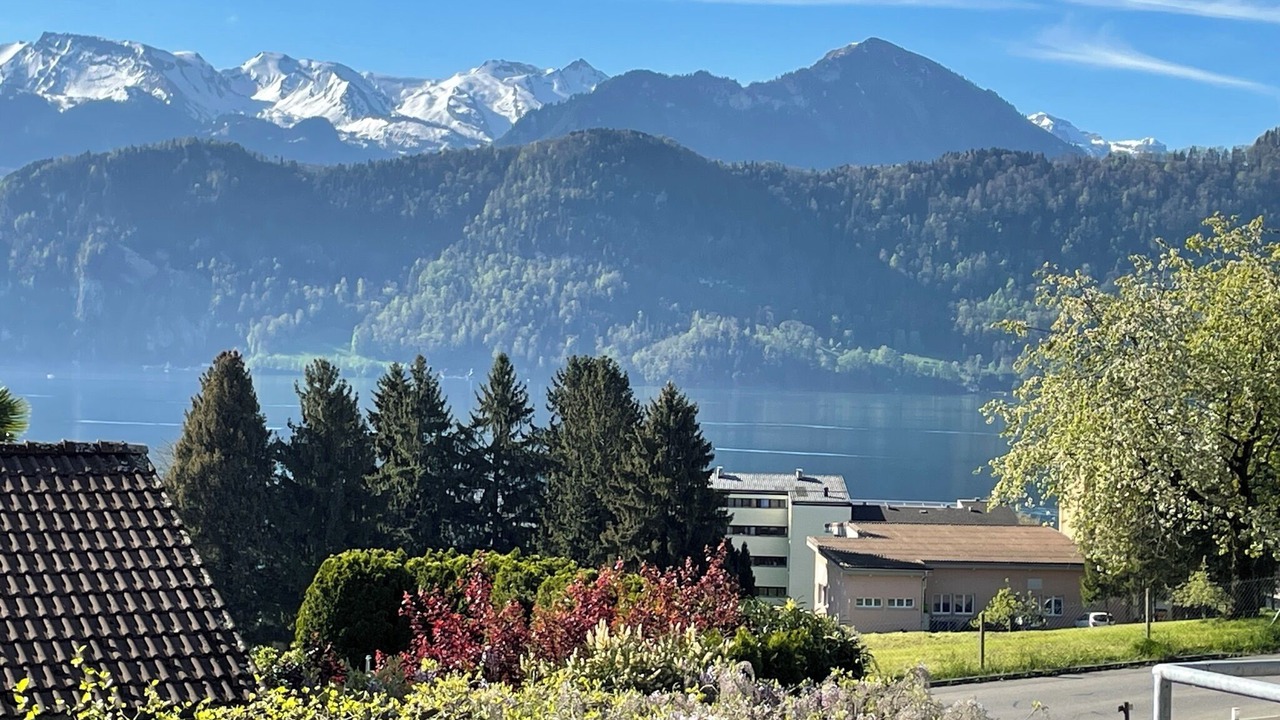 Photo of Outdoor in Weggis