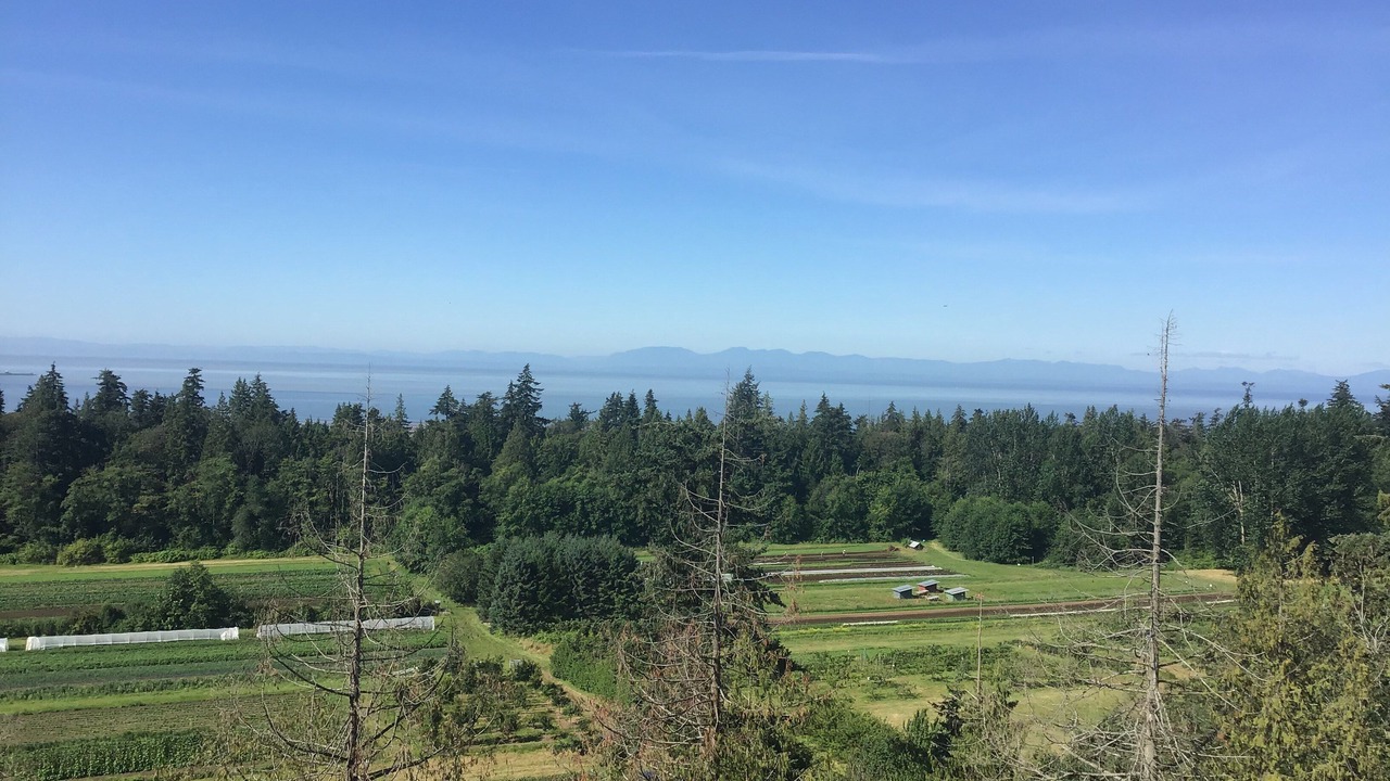 Photo of Outdoor in Vancouver