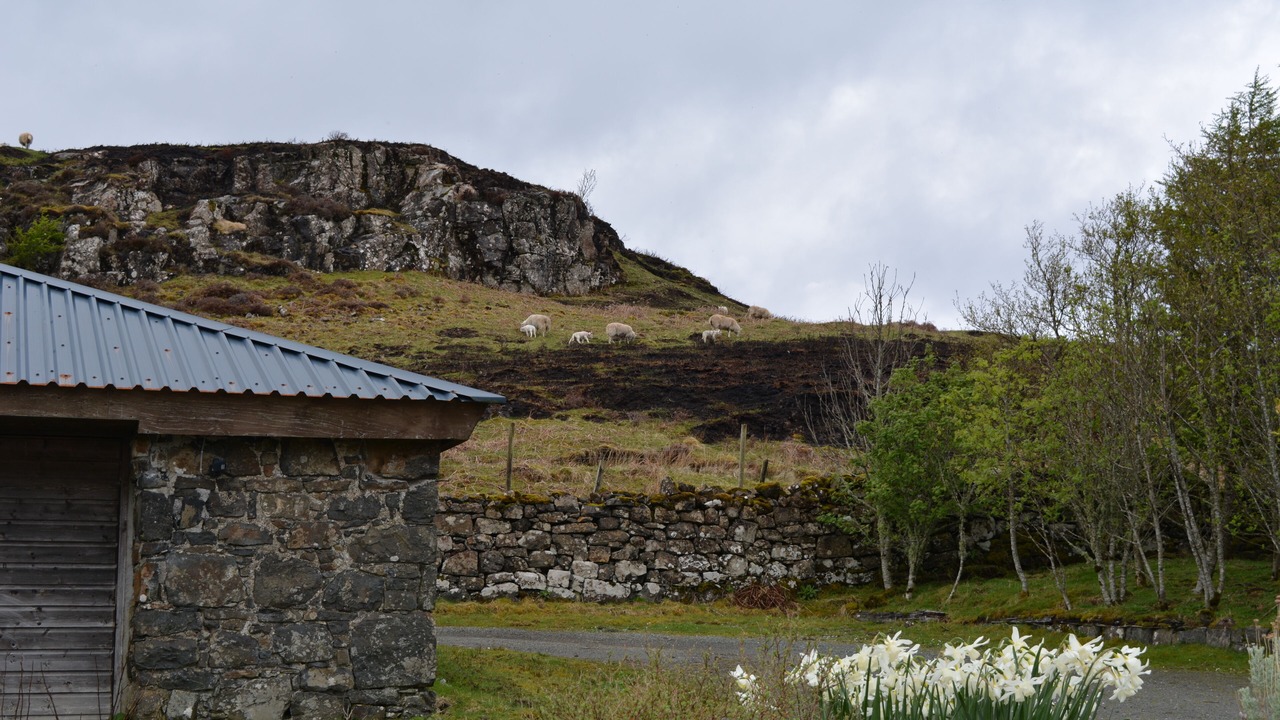 Photo of Outdoor in Suladale