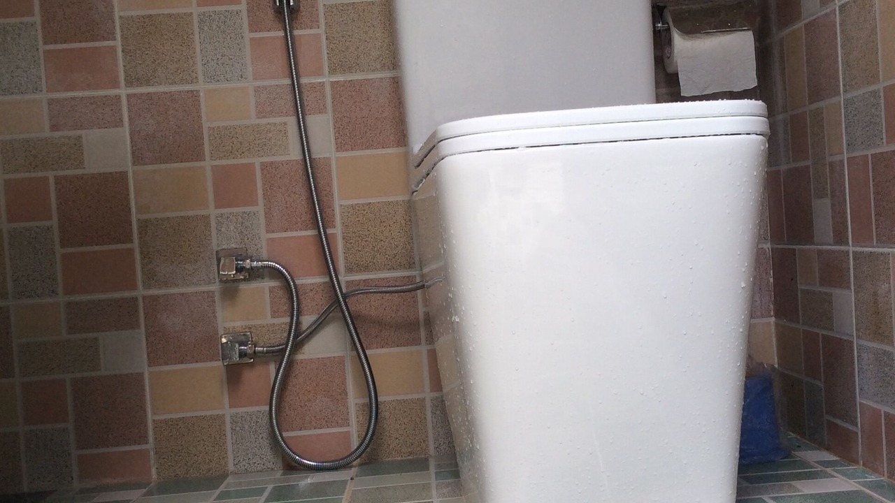 Photo of Bathroom in Ambagollapathana
