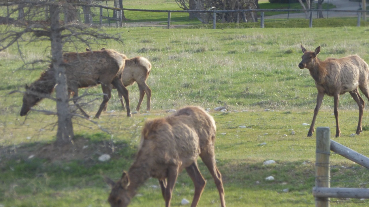 Photo of Outdoor in Grantsdale