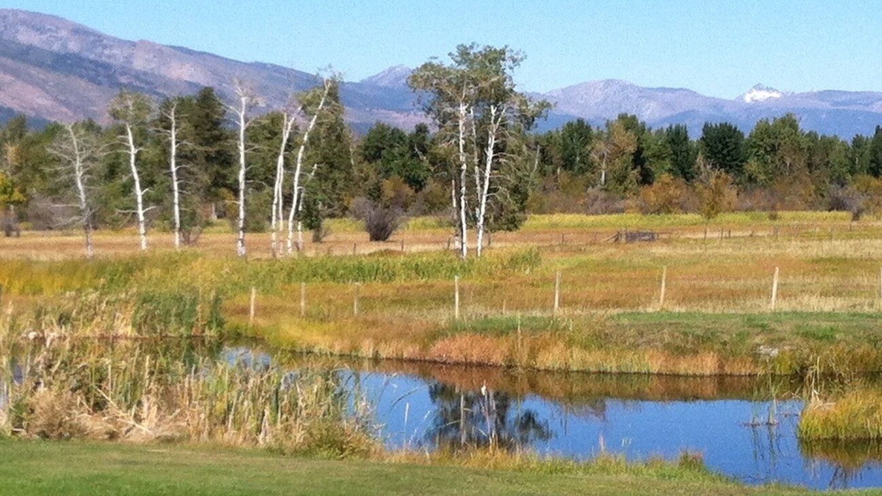 Photo of Others in Grantsdale