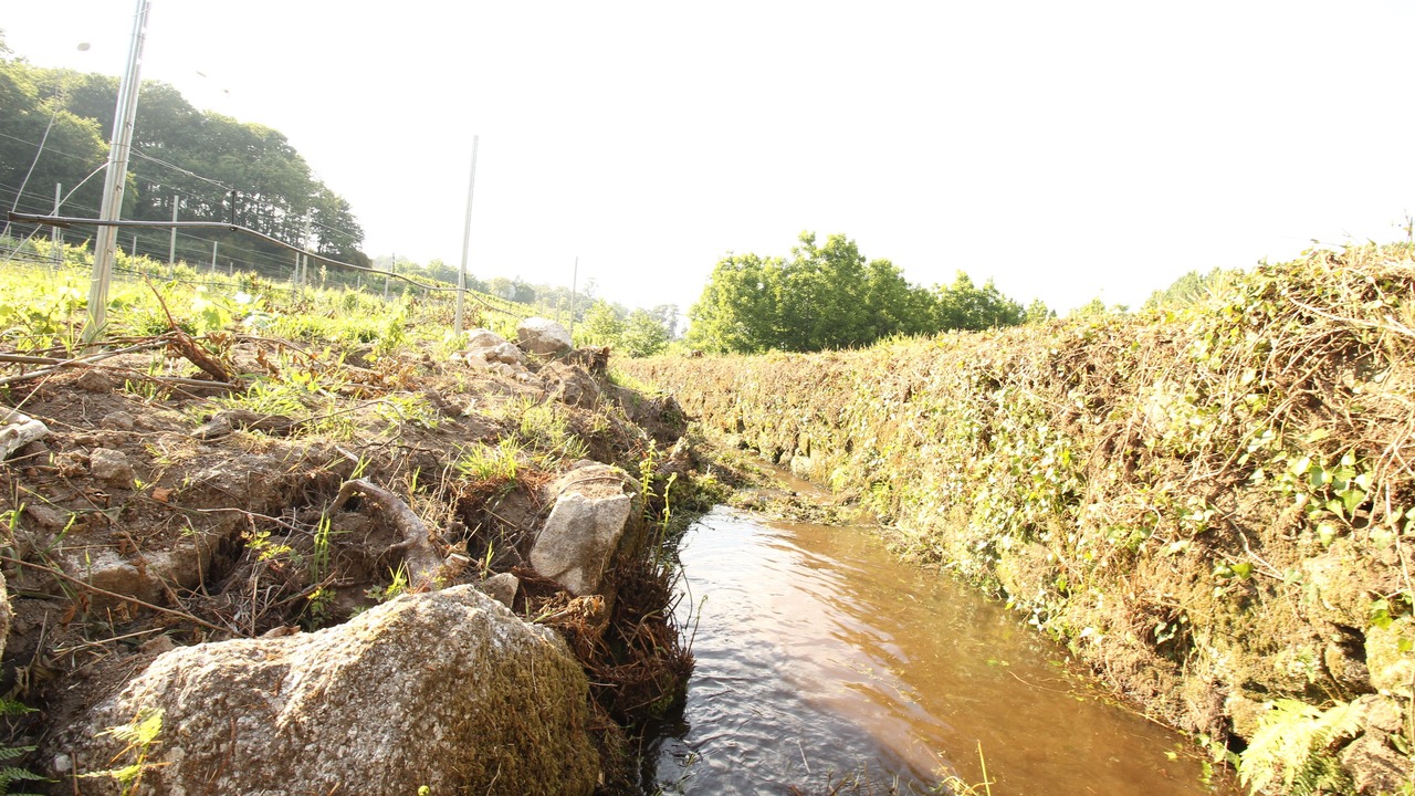 Photo of Outdoor in Fareja