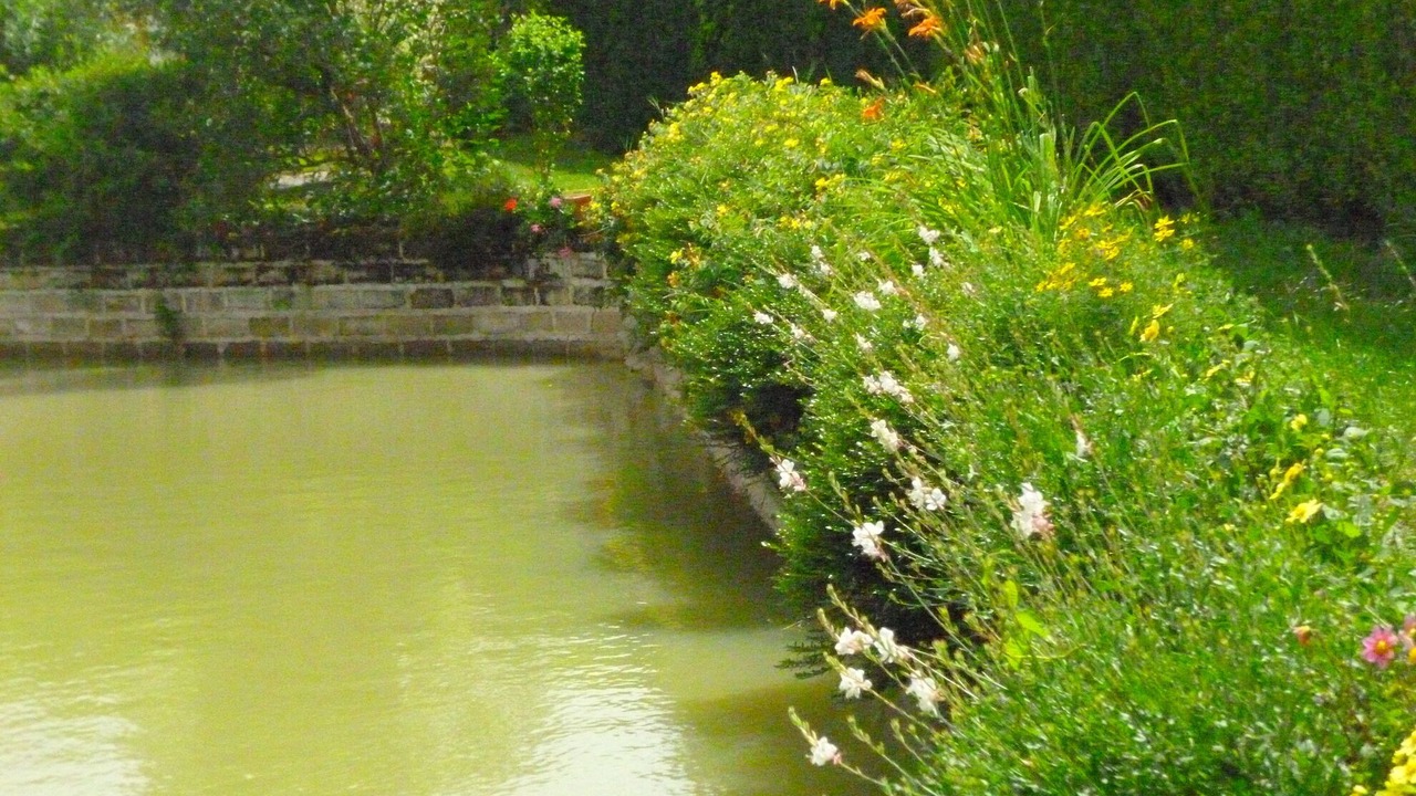 Photo of Outdoor in Vicq-sur-Nahon