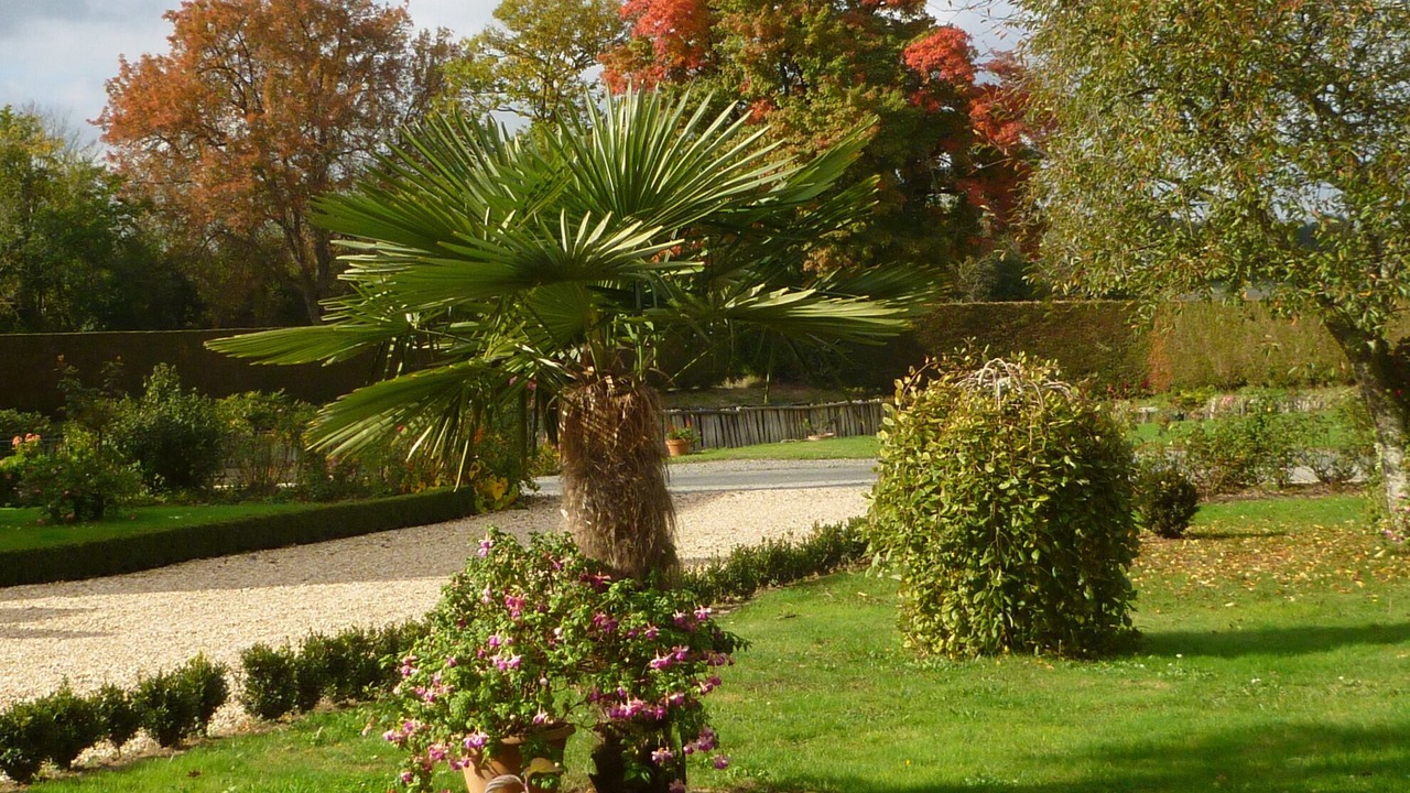 Photo of Outdoor in Vicq-sur-Nahon