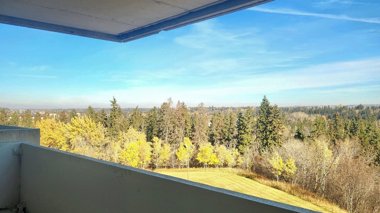 Photo of Outdoor in Red Deer