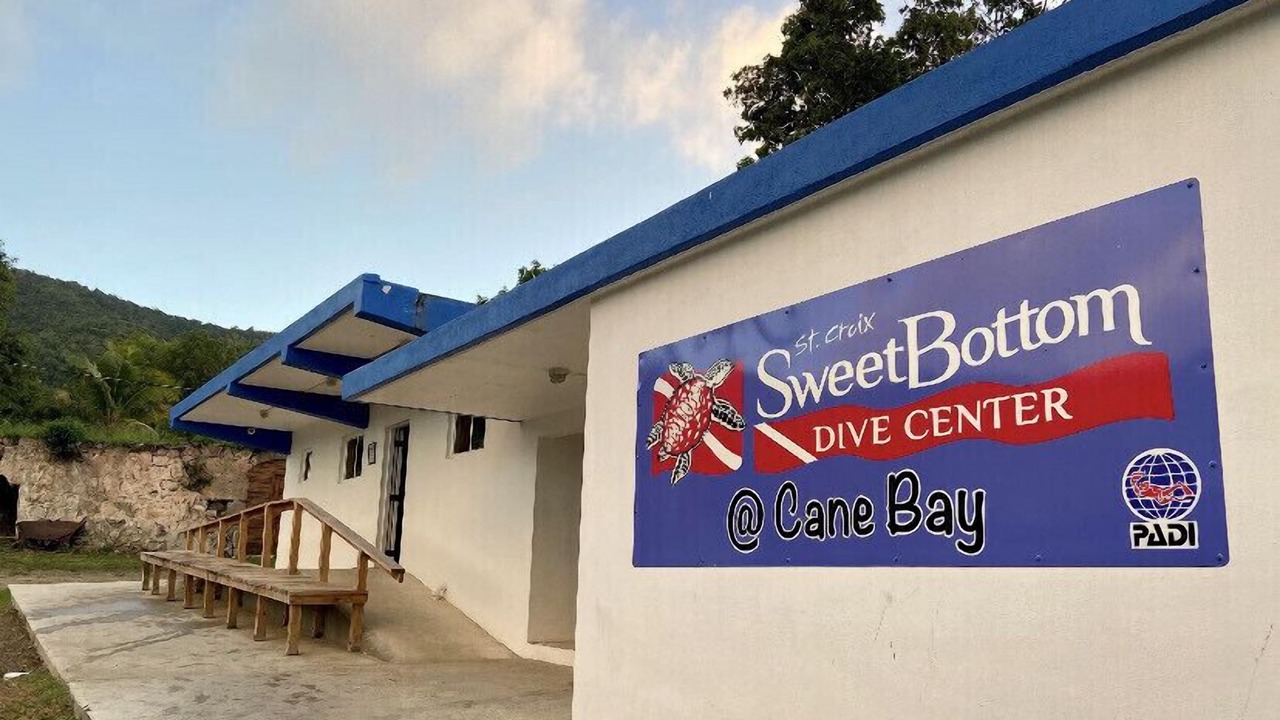 Photo of Others in Cane Bay