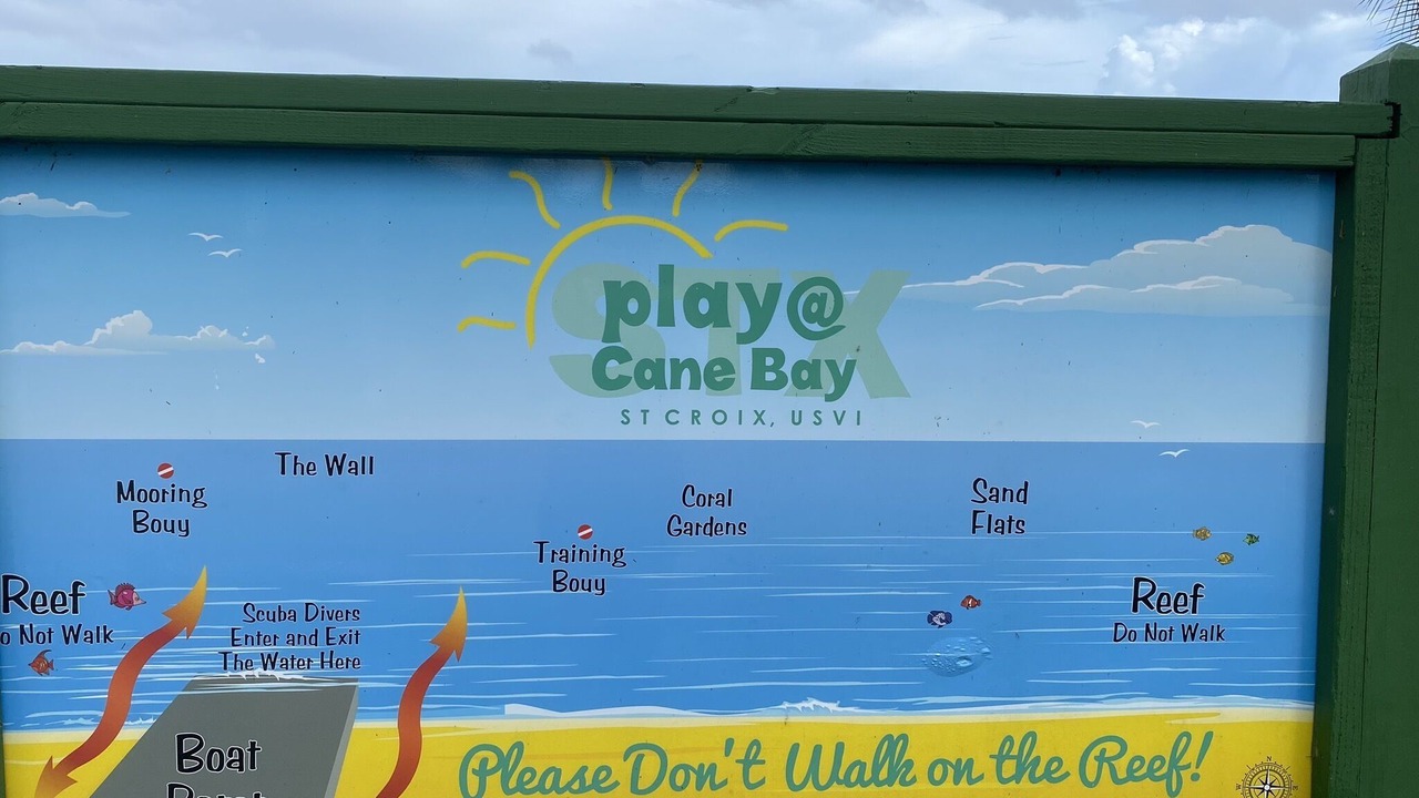 Photo of Others in Cane Bay