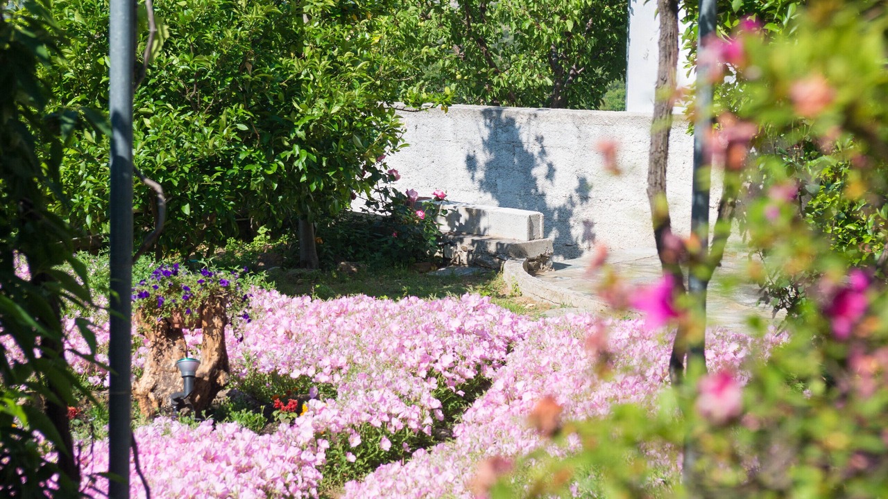 Photo of Outdoor in Agios Vlassios