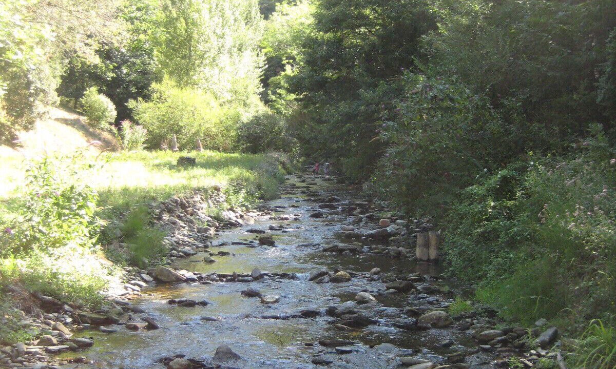 Photo of Outdoor in Cabrespine