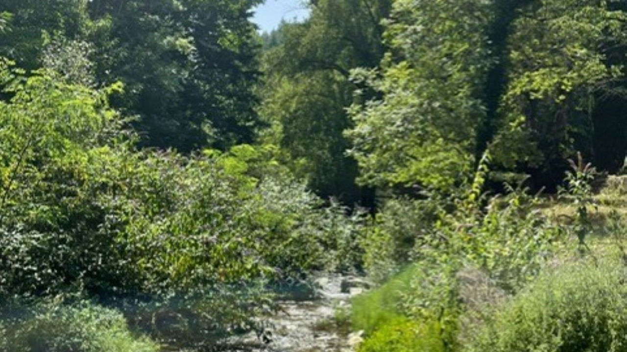 Photo of Outdoor in Cabrespine