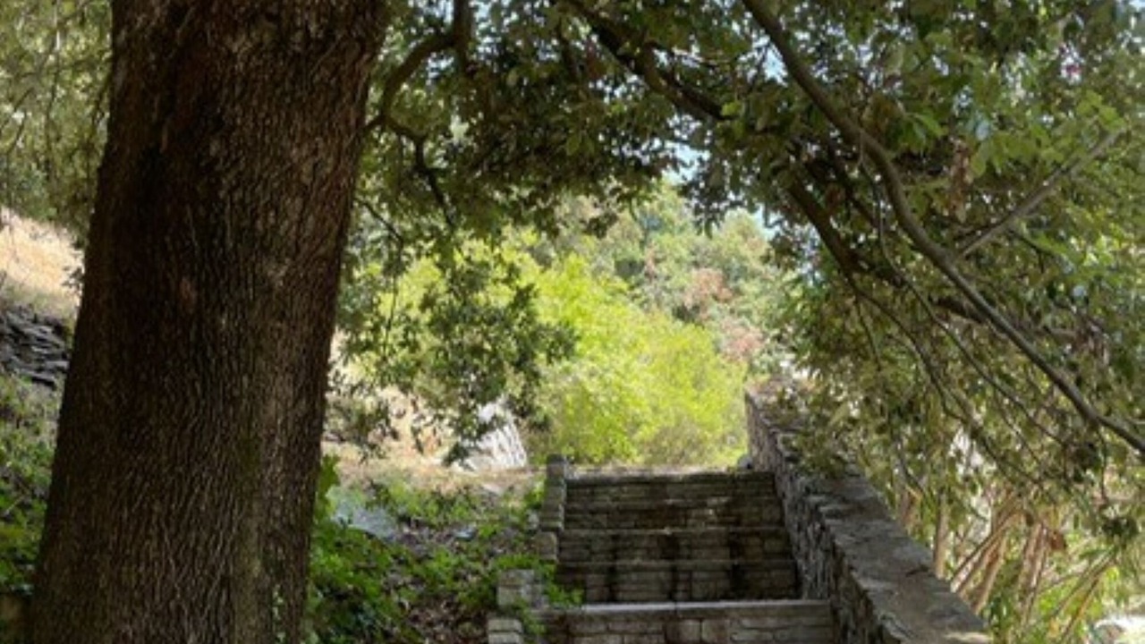 Photo of Outdoor in Cabrespine
