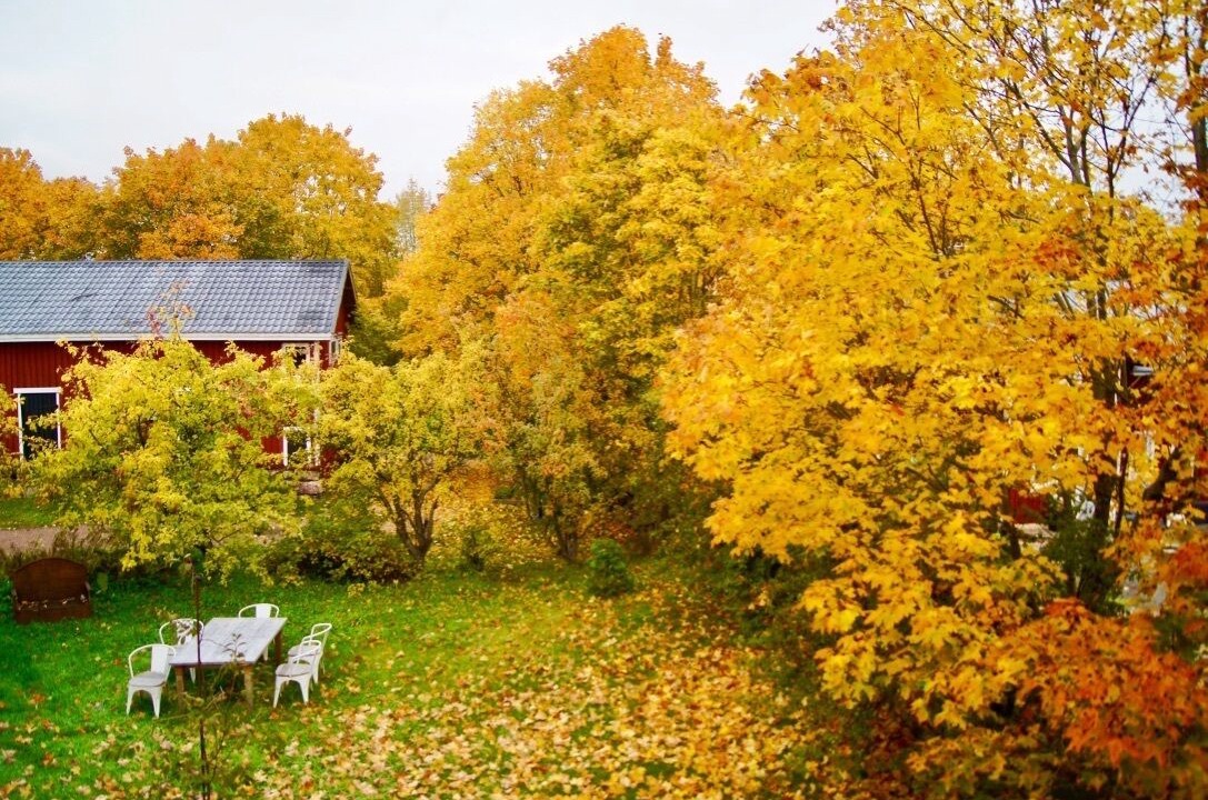 Photo of Outdoor in Porvoo