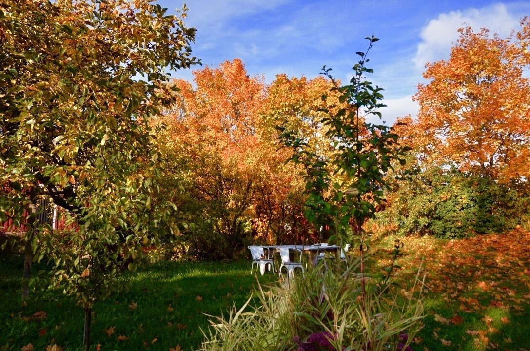 Photo of Outdoor in Porvoo
