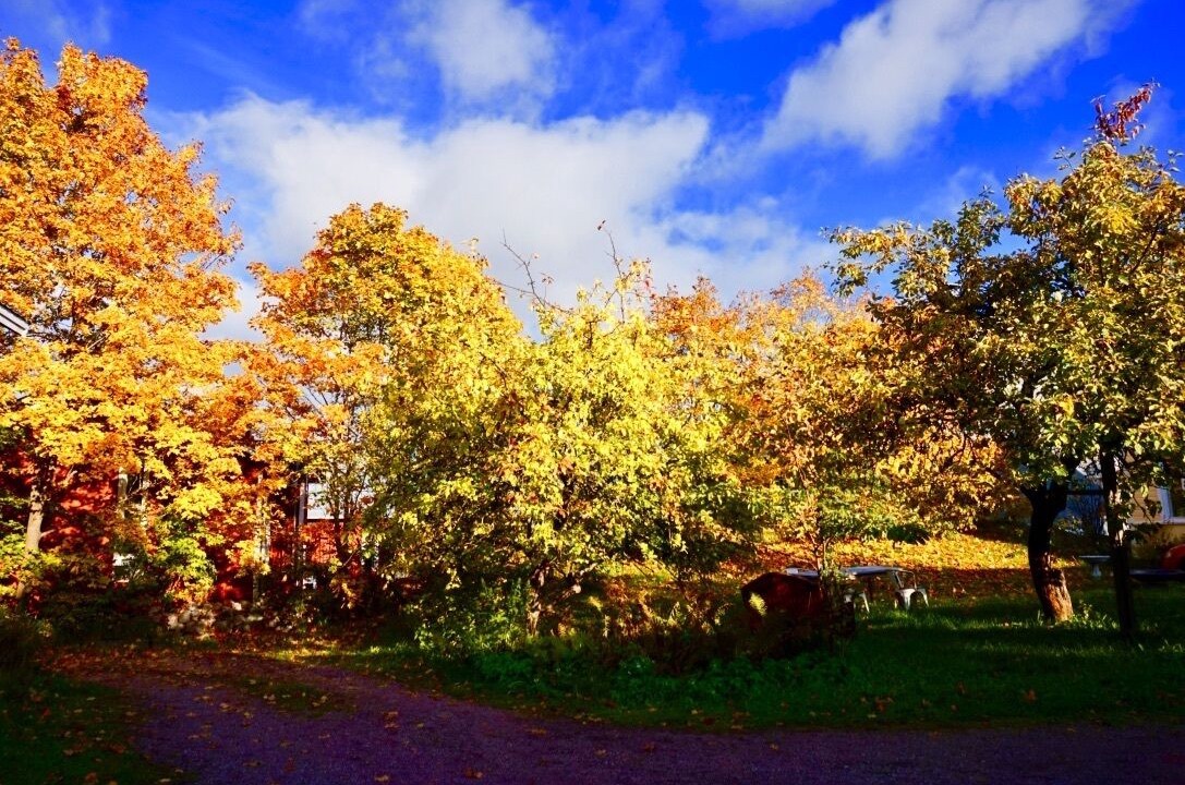 Photo of Outdoor in Porvoo