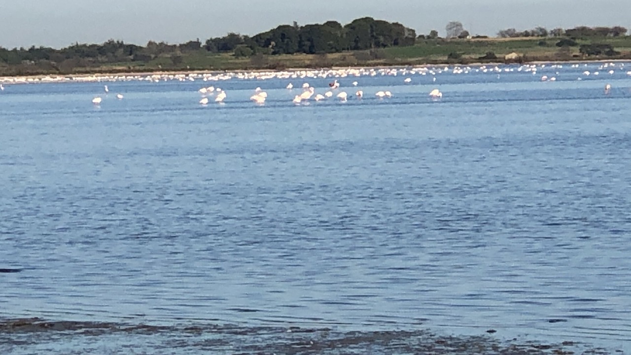 Photo of Others in Sete