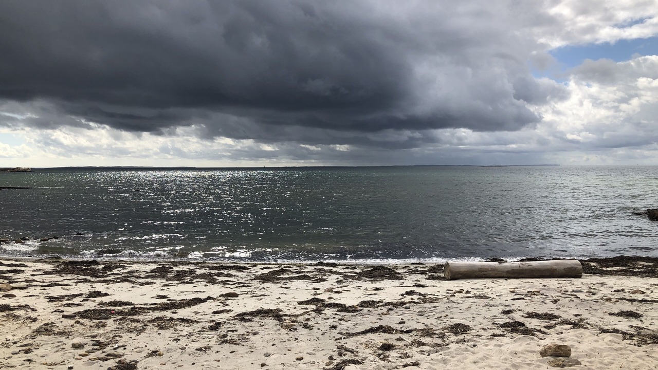 Photo of Others in Niantic